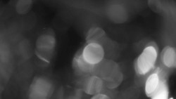 Areál koupaliště Holešov