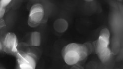 Areál koupaliště Holešov