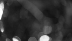 Areál koupaliště Holešov