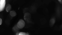 Areál koupaliště Holešov