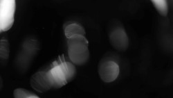 Areál koupaliště Holešov