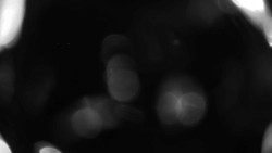 Areál koupaliště Holešov