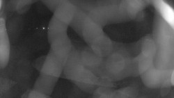 Areál koupaliště Holešov