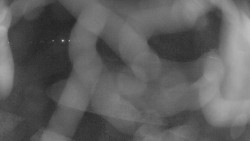 Areál koupaliště Holešov