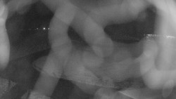 Areál koupaliště Holešov