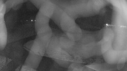 Areál koupaliště Holešov