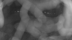 Areál koupaliště Holešov