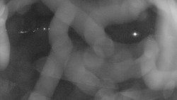 Areál koupaliště Holešov