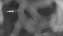 Areál koupaliště Holešov