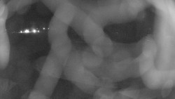 Areál koupaliště Holešov