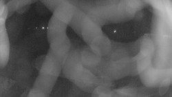 Areál koupaliště Holešov