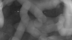 Areál koupaliště Holešov