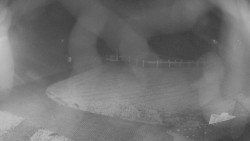 Areál koupaliště Holešov