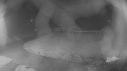 Areál koupaliště Holešov