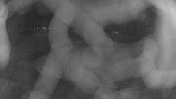 Areál koupaliště Holešov