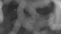 Areál koupaliště Holešov