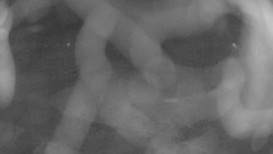 Areál koupaliště Holešov