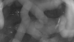 Areál koupaliště Holešov