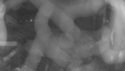 Areál koupaliště Holešov