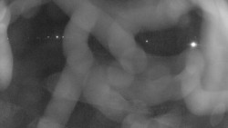 Areál koupaliště Holešov