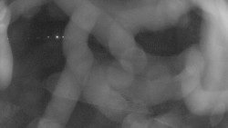 Areál koupaliště Holešov