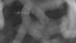 Areál koupaliště Holešov