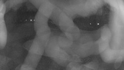 Areál koupaliště Holešov