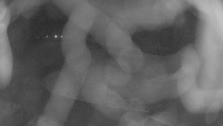 Areál koupaliště Holešov