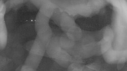 Areál koupaliště Holešov