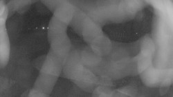 Areál koupaliště Holešov