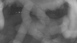 Areál koupaliště Holešov