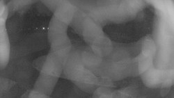 Areál koupaliště Holešov