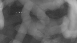 Areál koupaliště Holešov