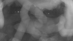 Areál koupaliště Holešov