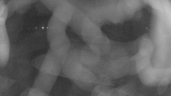 Areál koupaliště Holešov