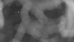 Areál koupaliště Holešov