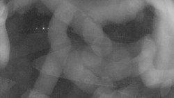 Areál koupaliště Holešov