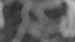 Areál koupaliště Holešov