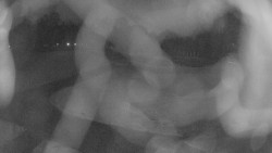 Areál koupaliště Holešov