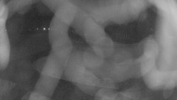 Areál koupaliště Holešov