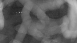 Areál koupaliště Holešov