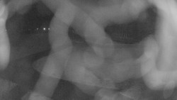 Areál koupaliště Holešov