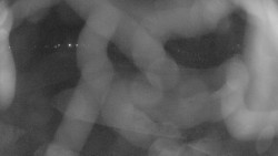 Areál koupaliště Holešov