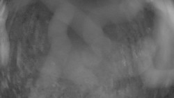 Areál koupaliště Holešov