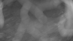 Areál koupaliště Holešov