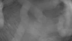 Areál koupaliště Holešov