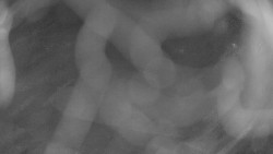 Areál koupaliště Holešov