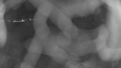 Areál koupaliště Holešov