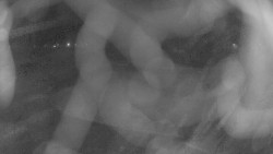 Areál koupaliště Holešov