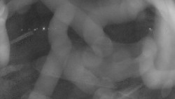 Areál koupaliště Holešov